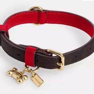 Coach Luxury Red and Brown Dog Collar with Gold Details